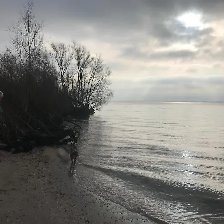 House بيت للعطل