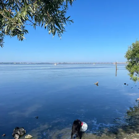 House Hellevoetsluis