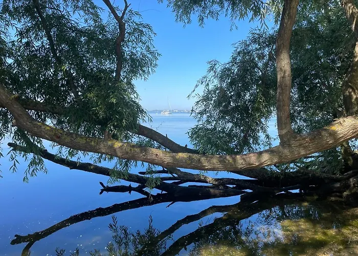 House هيليفوتسلاوس