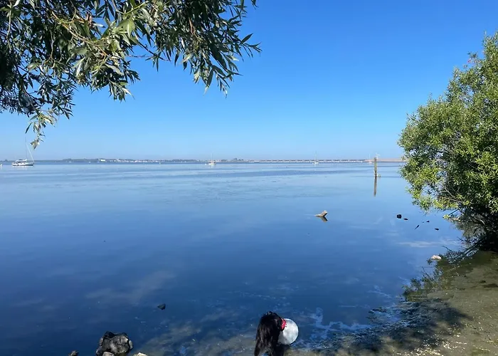 House هيليفوتسلاوس